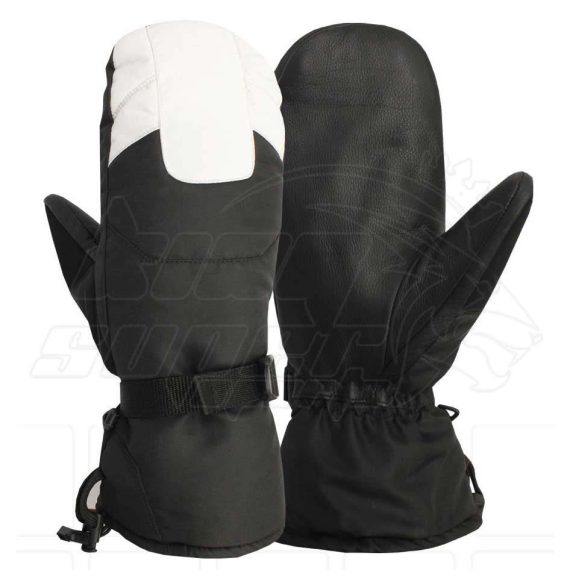 Ski Gloves