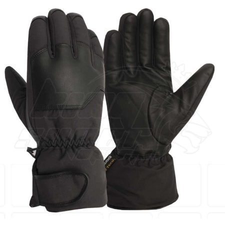 Ski Gloves