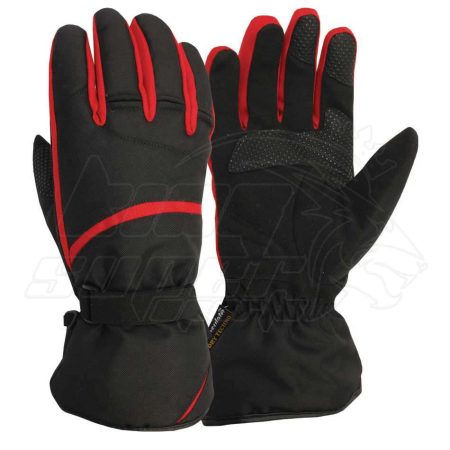 Ski Gloves
