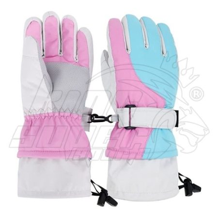 Ski Gloves